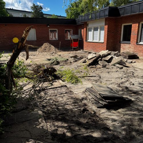 2 -Påfågeln