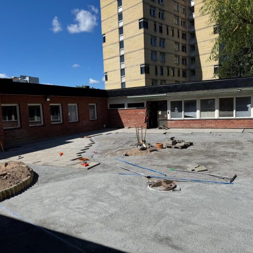 3 -Påfågeln